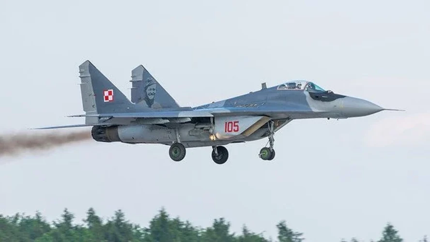 Винищувач МіГ-29 польських ВПС на стоянці