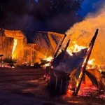 Наслідки пожежі в притулку для тварин «Сіріус» у селі Федорівка Київської області