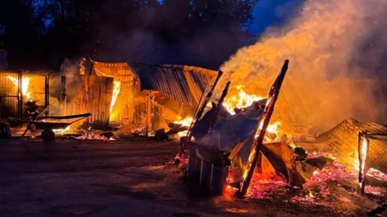 Наслідки пожежі в притулку для тварин «Сіріус» у селі Федорівка Київської області