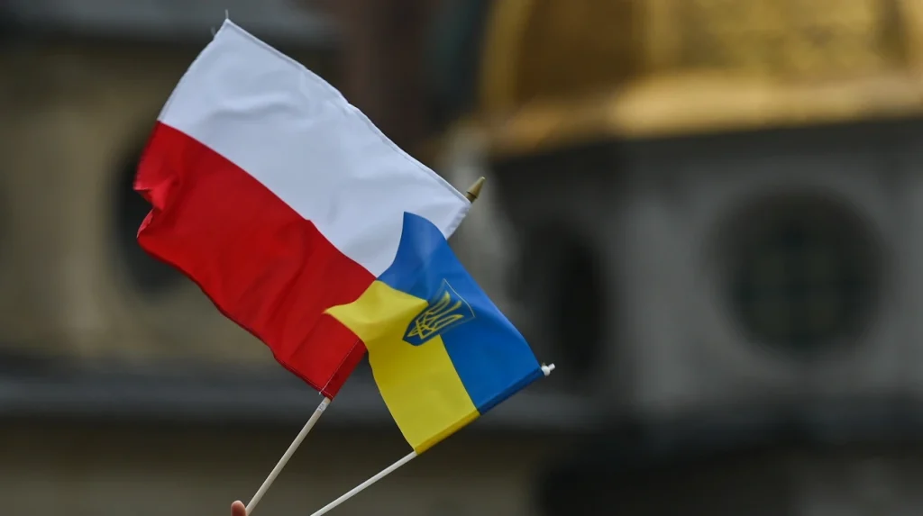 Інфографіка з результатами опитування IBRiS щодо українських чоловіків у Польщі